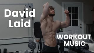 David Laid Gym Music to Break Body Limits [upl. by Ellered]