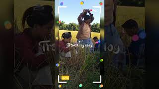 pasighat shortsvideo farming pasighatvlog [upl. by Morgen957]