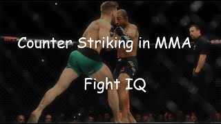 Counter Striking in MMA [upl. by Spatola]