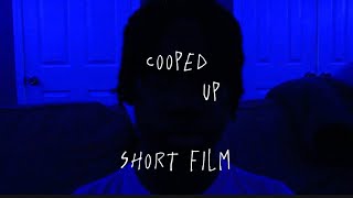 Cooped Up  Short Film [upl. by Seugram]