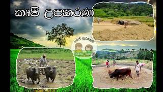 Krushi Upakarana à¶´à¶»à·’à·ƒà¶»à¶º à¶´à·à¶©à¶¸ à¶…à¶´ à¶´à¶»à·’à·„à¶»à¶«à¶º à¶šà¶»à¶± à¶¯à·š à¶šà·˜à·‚à·’ à¶‹à¶´à¶šà¶»à¶« Lesson 6 [upl. by Ammamaria]