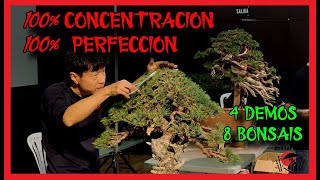 Demostracion de Bonsai ABE Gandia 2023 [upl. by Waite866]