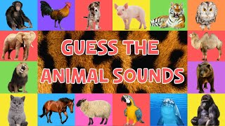 Guess The Animal Sounds For Kids  4K [upl. by Ellyn]