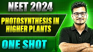 PHOTOSYNTHESIS IN HIGHER PLANTS in 1 Shot FULL CHAPTER COVERAGE TheoryPYQs  Prachand NEET [upl. by Yerd]