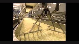 HOW ITS MADE  Mozzerella Cheese UK Version [upl. by Tomas]