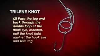 How To Tie A Berkley Trilene Knot In 3 Easy Steps [upl. by Ronnoc]