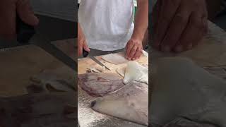 Humboldt Squid Wing Deep Sea Fishing Bait fishing howto shorts [upl. by Anier]