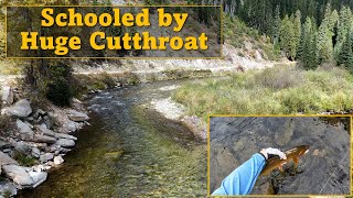 UNCUT Battle with HUGE Cutthroat  Fly Fishing in Idaho EuroNymphing [upl. by Larry902]