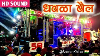 धवळा बैल  Dhavala Bail Songs By Artist Band 58 Hingve Kalwan [upl. by Maighdlin]