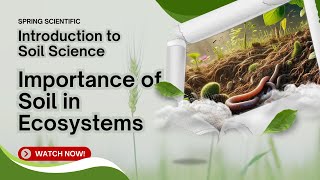 Soil  Importance of Soil  Nutrient Cycling  Water Regulation  Ecosystem  Scientific Spring [upl. by Yerdua]