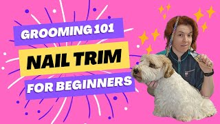 Grooming 101 Nail Trim For Beginners [upl. by Llertnad]