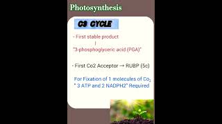 C3 Cycle  photosynthesis [upl. by Ecirual723]