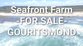 Seafront Farm Gouritsmond  Garden Route Resort Zone 1km seafront 31 ha Lourens 0719566132 [upl. by Ainoloppa247]