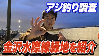 【金沢水際線緑地】生まれ変わった福浦岸壁の施設紹介とサビキでのアジ釣り調査！些か気になるルール無視の実態 [upl. by Kcirb]