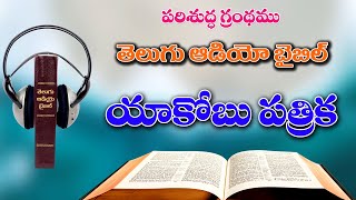 20యాకోబు వ్రాసిన పత్రికYakobu Vrasina PathrikaThe Book of JamesTelugu Audio Bible Full [upl. by Millford]