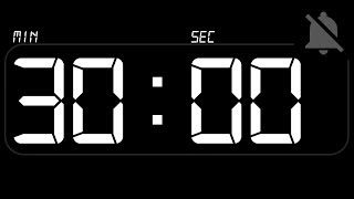 ⏰ TIMER 30 Minutes  Countdown  no Beep [upl. by Ainatit]