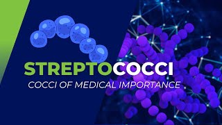 Streptococci of Medical Importance S pyogenes S agalactiae S pneumoniae and others [upl. by Rosina941]