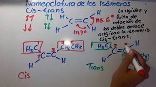 Isomeros Cis  Trans  Química Orgánica [upl. by Eesac]