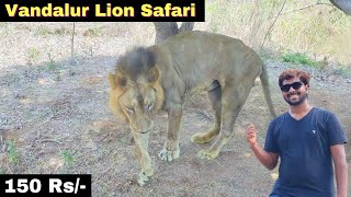 VANDALUR ZOO  LION SAFARI  150rs only  🦁🦁🦁🦁  சிங்கத்த பக்கத்துல பார்த்துட்டேன் [upl. by Notsirb744]