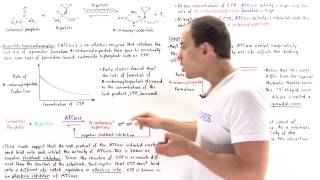 ATCase Allosteric Regulation [upl. by Linea]