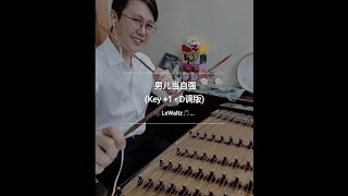 《男儿当自强》 林子祥 • LW扬琴翻演 YangQin Cover  D调版 【LeWaltzMusic】 [upl. by Eecats]