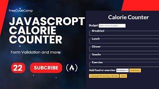 FreeCodeCamp  Javascript  Form Validation by Building a Calorie Counter  Steps  22 [upl. by Laural369]