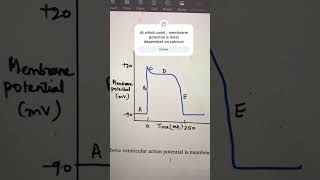 PhysiologyMCQs  cardiovascular system mbbs1styear physiologyquiz physiology [upl. by Hallvard]