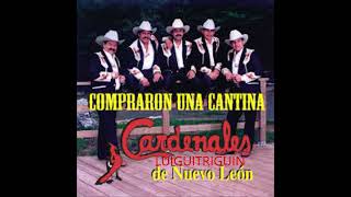 Los Cardenales De Nuevo Leon Mix De Sus Mejores Canciones [upl. by Thecla]