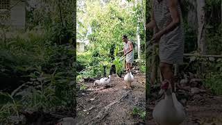 Luyang dilawBida bida yan sila Ducky at dakdak [upl. by Mariandi51]