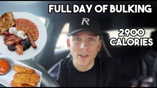 2900 CALORIE FULL DAY OF EATING TO GAIN MUSCLE  EATING OUT AND STAYING ON TRACK  IIFYM [upl. by Luebke]