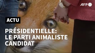 Le parti animaliste se lance dans la bataille présidentielle  AFP [upl. by Lewanna]