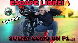 INCREIBLE SONIDO 🔥 Escape Libre Inoxidable al TNT 600  Mark Demian [upl. by Onurb]