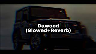 dawood SlowedReverb song [upl. by Ellainad]