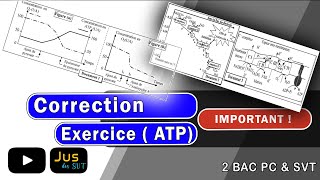 Exercice corrigé  ATP  2 BAC PC ET SVT  Sciences de la vie et de la terre [upl. by Peery]