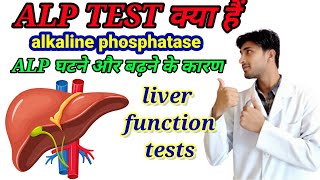 ALP normal rangeALP Alkaline phosphatase ALPnormal range ALP test kya haistudywithhussain [upl. by Ezekiel427]