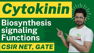 Cytokinin hormone biosynthesis and cytokinin function [upl. by Eninahs]