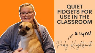 ADHDAUTISM  Fidgets for the Classroom with Lyra [upl. by Rives688]