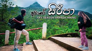 අවාරේ සිරිපා ⛰️🧗‍♀️මහා වැසි මැද ⛈️Off Season Sripada Hiking 🏞️ vacation vlog [upl. by Ahsain884]