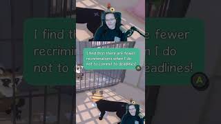 Mottos To Live By LittleKittyBigCity  webfoo on Twitch [upl. by Ydarb]