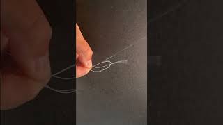 How To Tie A Six Turn Surgeon Knot Connect Braid To Leader [upl. by Annovy666]