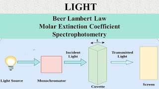 Beer Lambert Law Molar Extinction Coefficient Spectrophotometry [upl. by Trella]