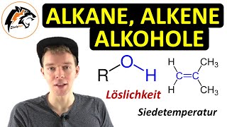 Alkane Alkene Alkine amp Alkohole  Zusammenfassung [upl. by Noreg733]