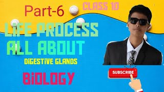 Part6Life processClass 10Digestive glands BIOLOGY [upl. by Alis]