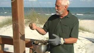 Franklin County quotWere Saltyquot  How to shuck an Apalachicola Bay oyster [upl. by Namara642]