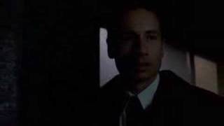 The XFiles Trailer [upl. by Pierro]