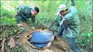 Almost lost my life  A professional snake worker put his arm into a cobras hole [upl. by Cerelia]