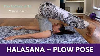 HalasanaPlow Pose  How to Do and Benefits  Yoga with Leah [upl. by Wallack]