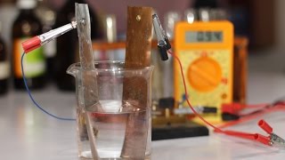 Working of Simple Voltaic Cell [upl. by Sivart620]