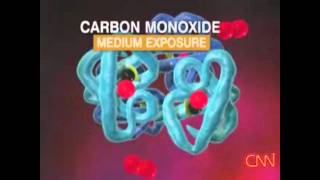 Effects Of Carbon Monoxide [upl. by Dyanne]