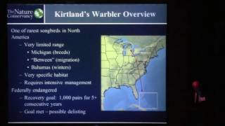 Saving the Kirtlands Warbler [upl. by Helm]